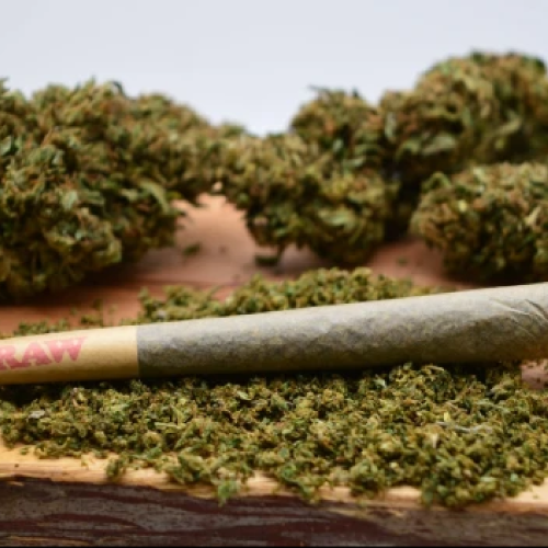 Southern-Roots-Farms_preroll-image